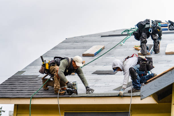 Professional Gutter Installation technician working in Lenox, TN